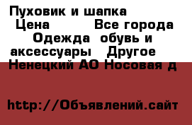 Пуховик и шапка  Adidas  › Цена ­ 100 - Все города Одежда, обувь и аксессуары » Другое   . Ненецкий АО,Носовая д.